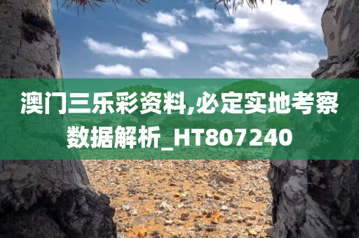 澳门三乐彩资料,必定实地考察数据解析_HT807240