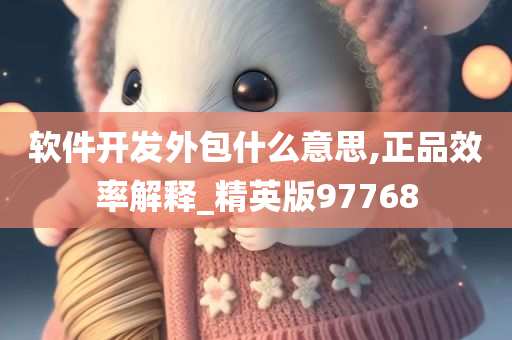 软件开发外包什么意思,正品效率解释_精英版97768