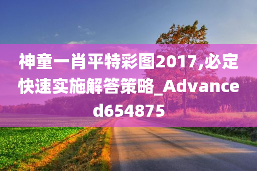 神童一肖平特彩图2017,必定快速实施解答策略_Advanced654875