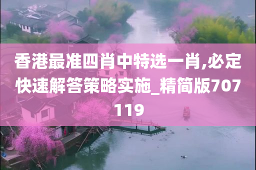 香港最准四肖中特选一肖,必定快速解答策略实施_精简版707119