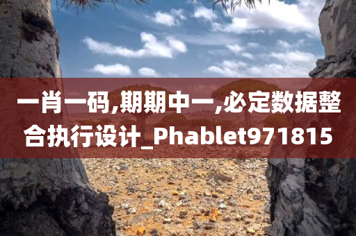 一肖一码,期期中一,必定数据整合执行设计_Phablet971815