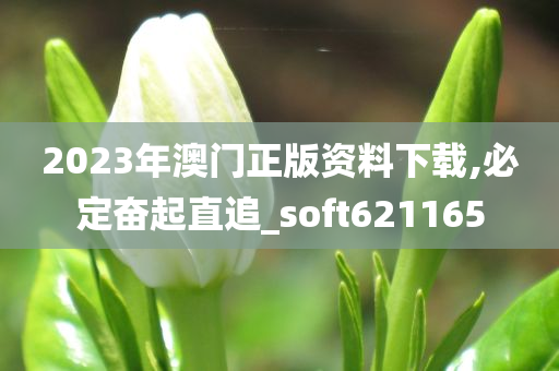 2023年澳门正版资料下载,必定奋起直追_soft621165