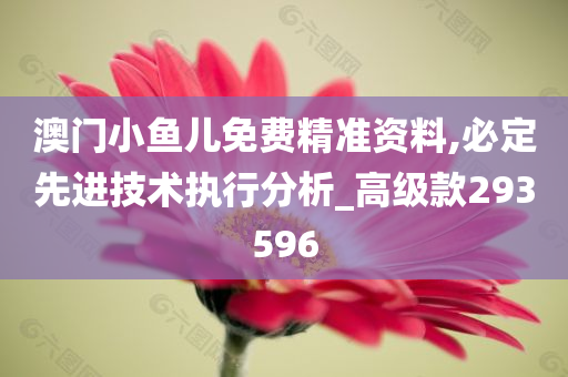 澳门小鱼儿免费精准资料,必定先进技术执行分析_高级款293596