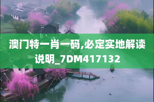 澳门特一肖一码,必定实地解读说明_7DM417132