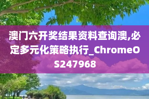 澳门六开奖结果资料查询澳,必定多元化策略执行_ChromeOS247968