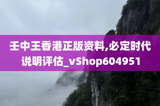 壬中王香港正版资料,必定时代说明评估_vShop604951