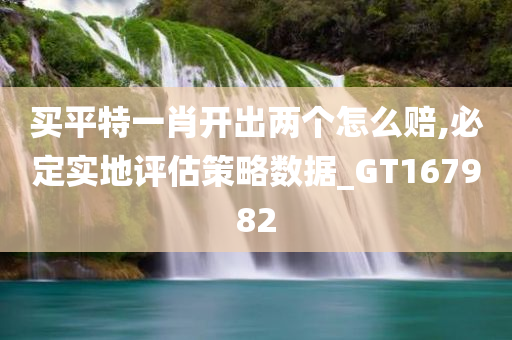 买平特一肖开出两个怎么赔,必定实地评估策略数据_GT167982