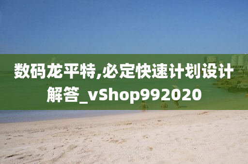 数码龙平特,必定快速计划设计解答_vShop992020