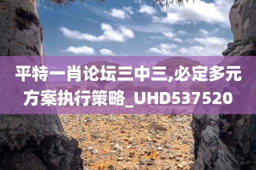 平特一肖论坛三中三,必定多元方案执行策略_UHD537520