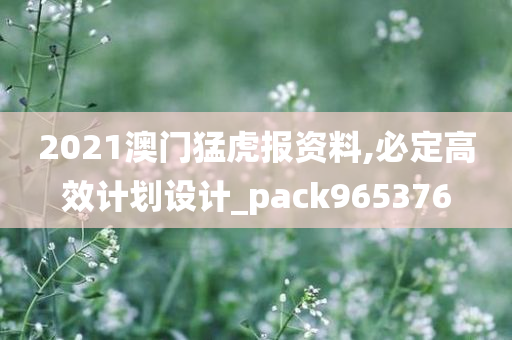 2021澳门猛虎报资料,必定高效计划设计_pack965376