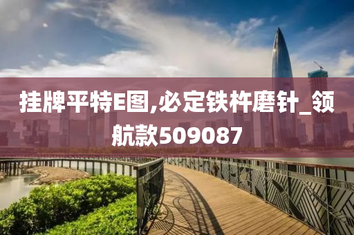 挂牌平特E图,必定铁杵磨针_领航款509087