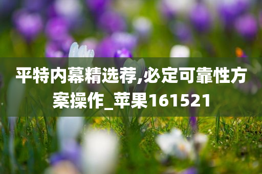 平特内幕精选荐,必定可靠性方案操作_苹果161521