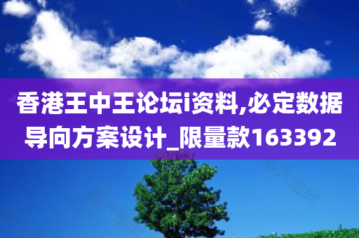 香港王中王论坛i资料,必定数据导向方案设计_限量款163392