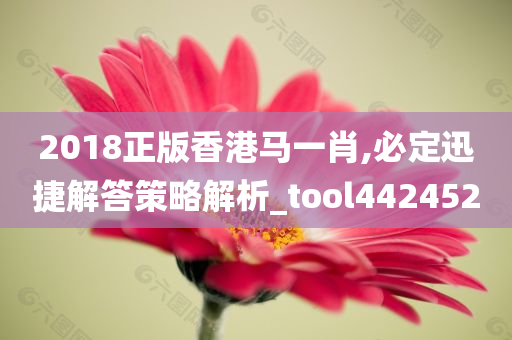 2018正版香港马一肖,必定迅捷解答策略解析_tool442452