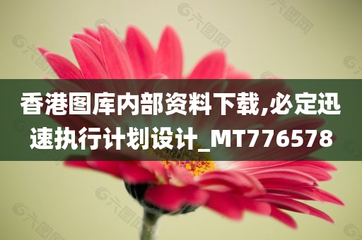 香港图库内部资料下载,必定迅速执行计划设计_MT776578