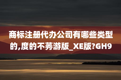 商标注册代办公司有哪些类型的,度的不莠游版_XE版?GH9