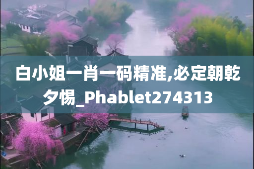 白小姐一肖一码精准,必定朝乾夕惕_Phablet274313