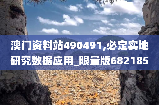 澳门资料站490491,必定实地研究数据应用_限量版682185