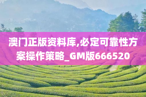 澳门正版资料库,必定可靠性方案操作策略_GM版666520