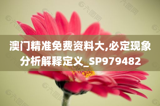 澳门精准免费资料大,必定现象分析解释定义_SP979482