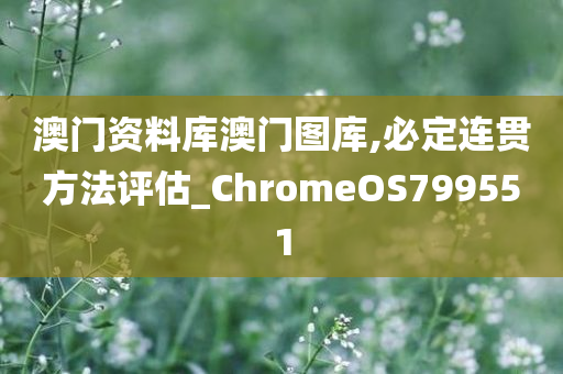 澳门资料库澳门图库,必定连贯方法评估_ChromeOS799551