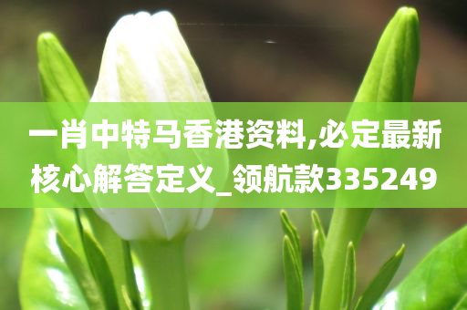 一肖中特马香港资料,必定最新核心解答定义_领航款335249