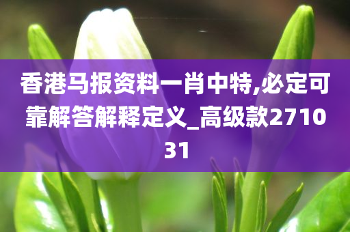 香港马报资料一肖中特,必定可靠解答解释定义_高级款271031