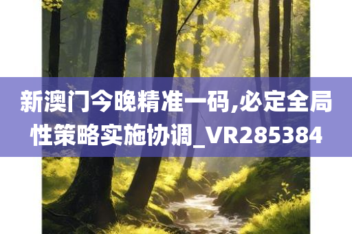 新澳门今晚精准一码,必定全局性策略实施协调_VR285384