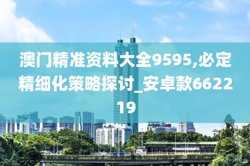 澳门精准资料大全9595,必定精细化策略探讨_安卓款662219