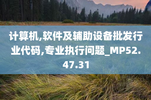 计算机,软件及辅助设备批发行业代码,专业执行问题_MP52.47.31