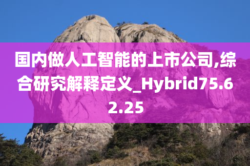 国内做人工智能的上市公司,综合研究解释定义_Hybrid75.62.25