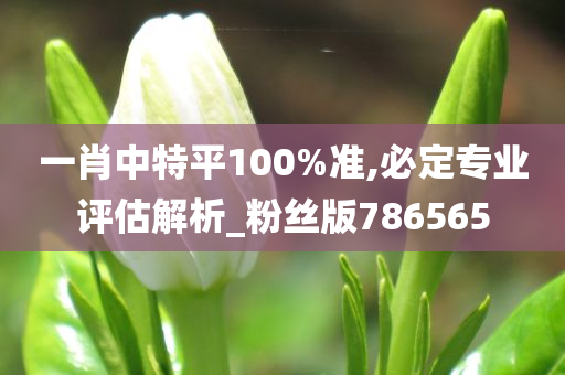 一肖中特平100%准,必定专业评估解析_粉丝版786565