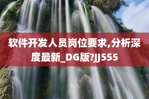 软件开发人员岗位要求,分析深度最新_DG版?JJ555