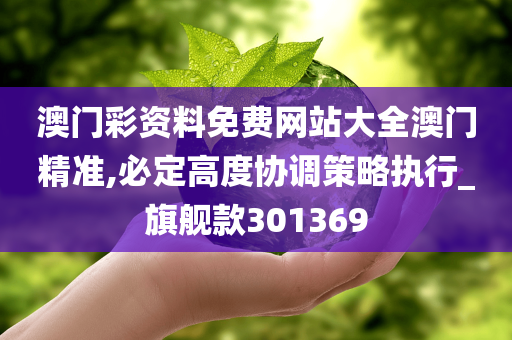 澳门彩资料免费网站大全澳门精准,必定高度协调策略执行_旗舰款301369