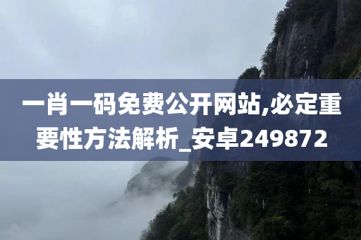 一肖一码免费公开网站,必定重要性方法解析_安卓249872