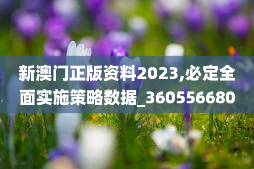 新澳门正版资料2023,必定全面实施策略数据_360556680