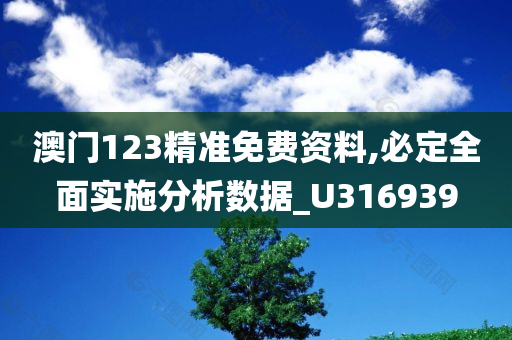 澳门123精准免费资料,必定全面实施分析数据_U316939