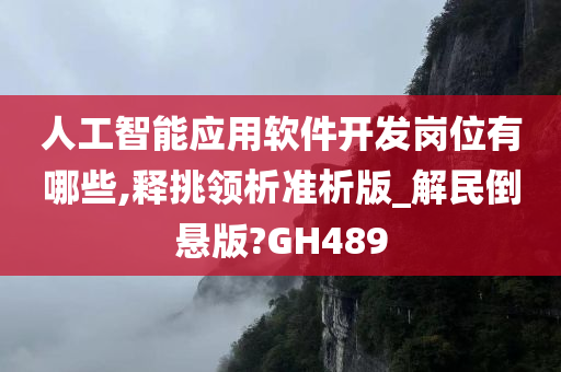 人工智能应用软件开发岗位有哪些,释挑领析准析版_解民倒悬版?GH489