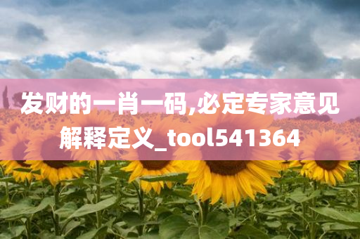 发财的一肖一码,必定专家意见解释定义_tool541364