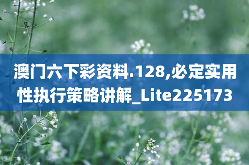 澳门六下彩资料.128,必定实用性执行策略讲解_Lite225173