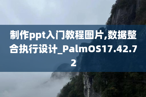 制作ppt入门教程图片,数据整合执行设计_PalmOS17.42.72