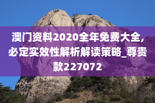 澳门资料2020全年免费大全,必定实效性解析解读策略_尊贵款227072