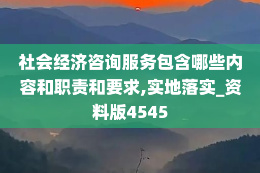 社会经济咨询服务包含哪些内容和职责和要求,实地落实_资料版4545