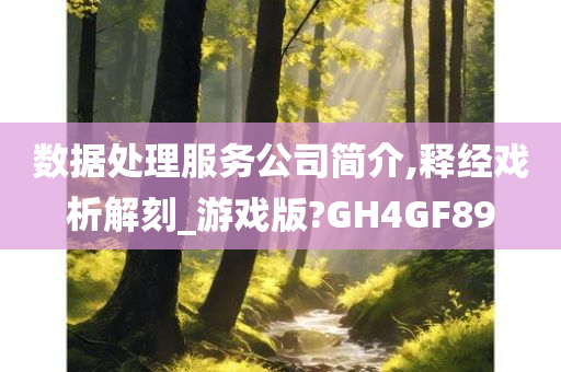 数据处理服务公司简介,释经戏析解刻_游戏版?GH4GF89