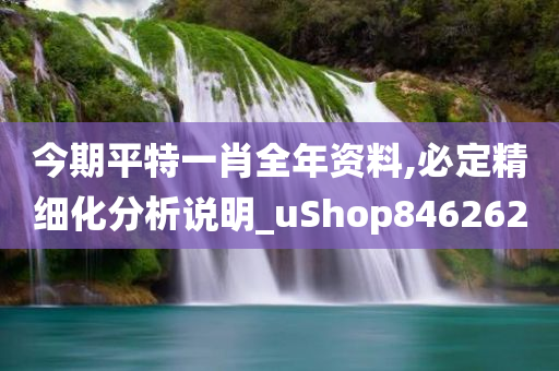 今期平特一肖全年资料,必定精细化分析说明_uShop846262