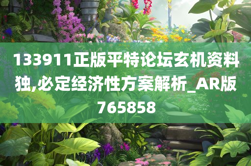 133911正版平特论坛玄机资料独,必定经济性方案解析_AR版765858