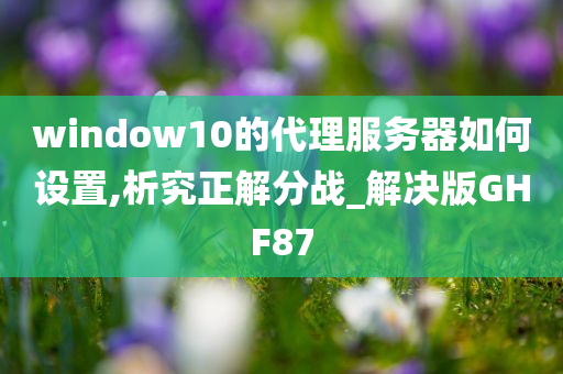 window10的代理服务器如何设置,析究正解分战_解决版GHF87