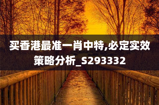 买香港最准一肖中特,必定实效策略分析_S293332