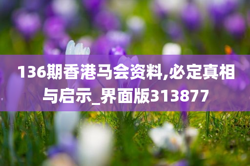 136期香港马会资料,必定真相与启示_界面版313877