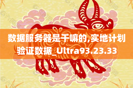 数据服务器是干嘛的,实地计划验证数据_Ultra93.23.33